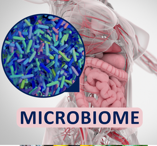 What is Microbiome testing?    
